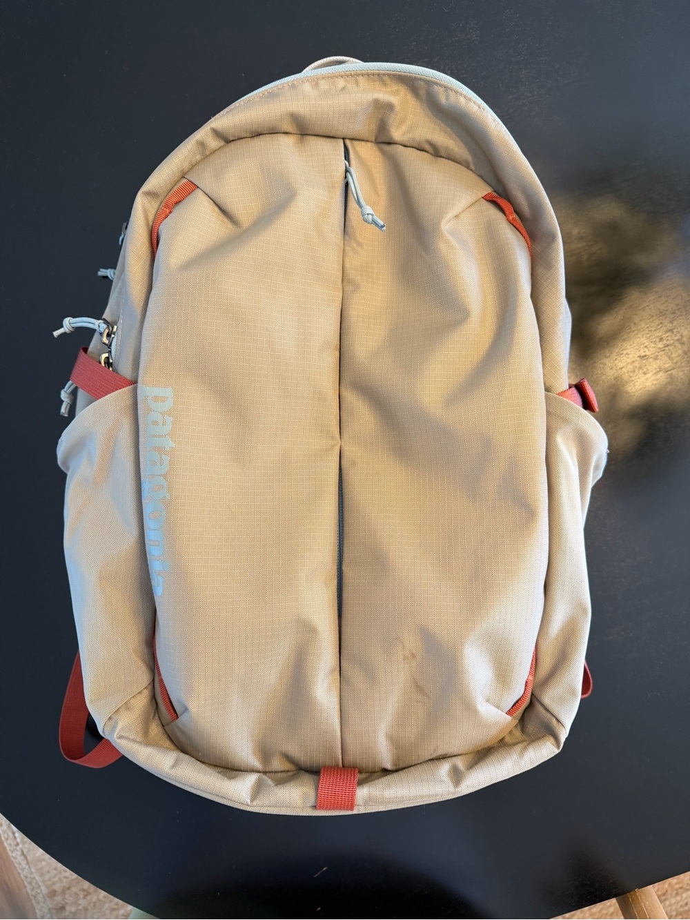 Patagonia Backpack